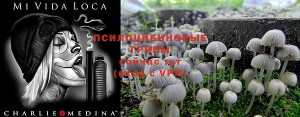 стафф Алзамай
