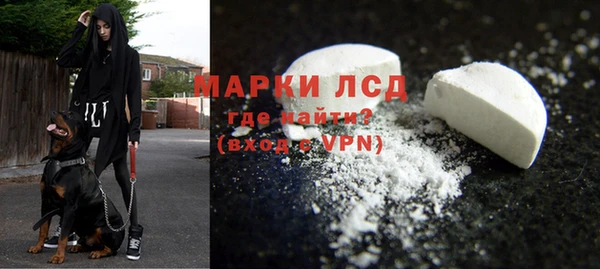стафф Алзамай