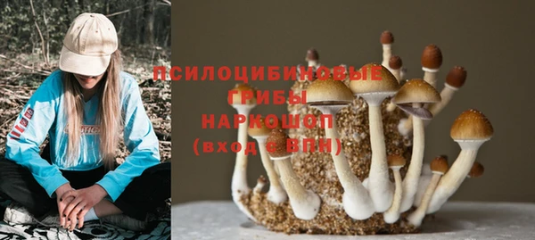 молекула духа Алексеевка