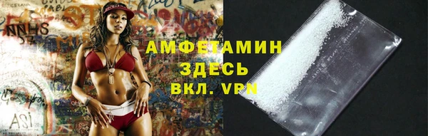 стафф Алзамай